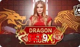 Dragon Tiger